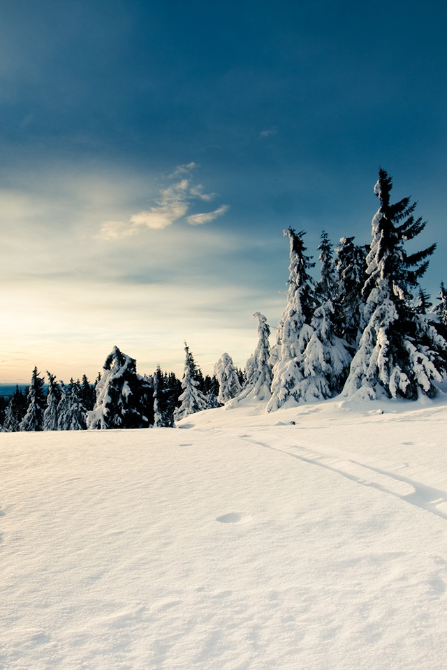 Winter Mountain Top iPhone 4s Wallpaper Download iPhone