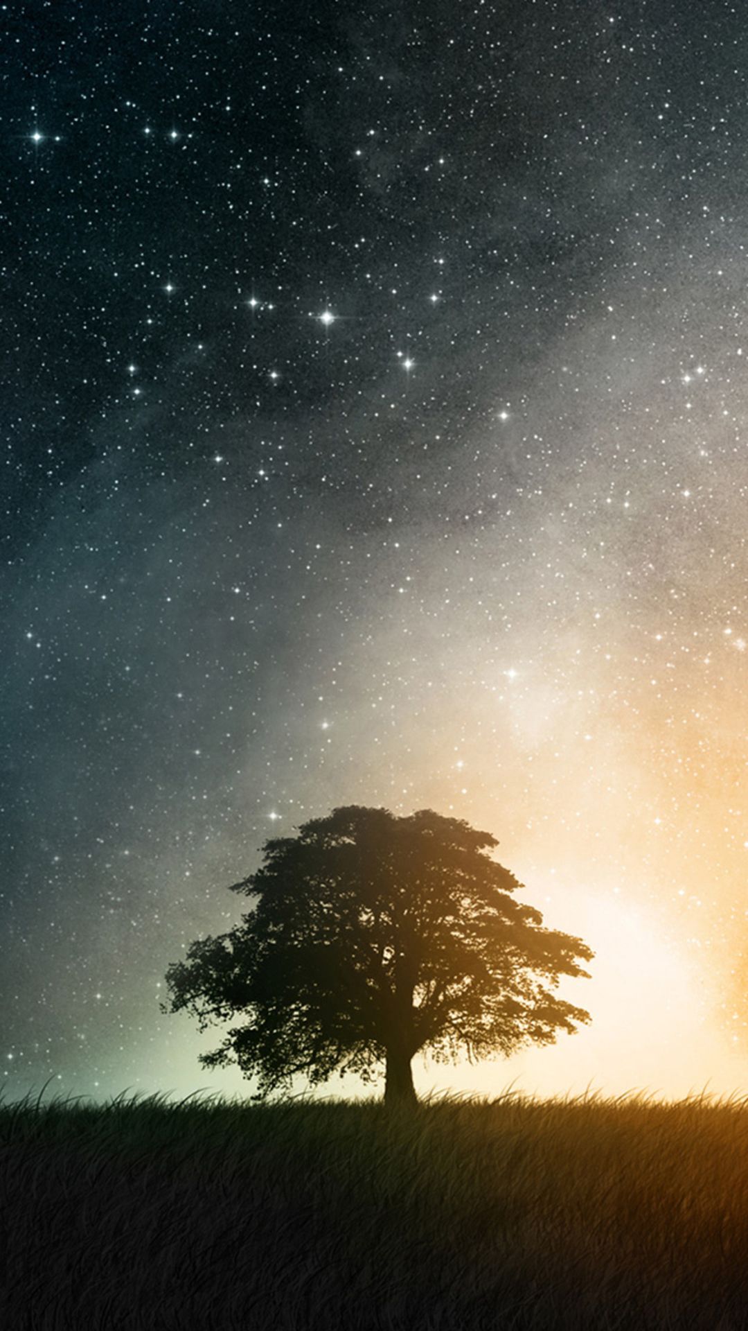Night Hill Top Lonely Tree Vast Starry Skyscape iPhone 6 Wallpaper ...