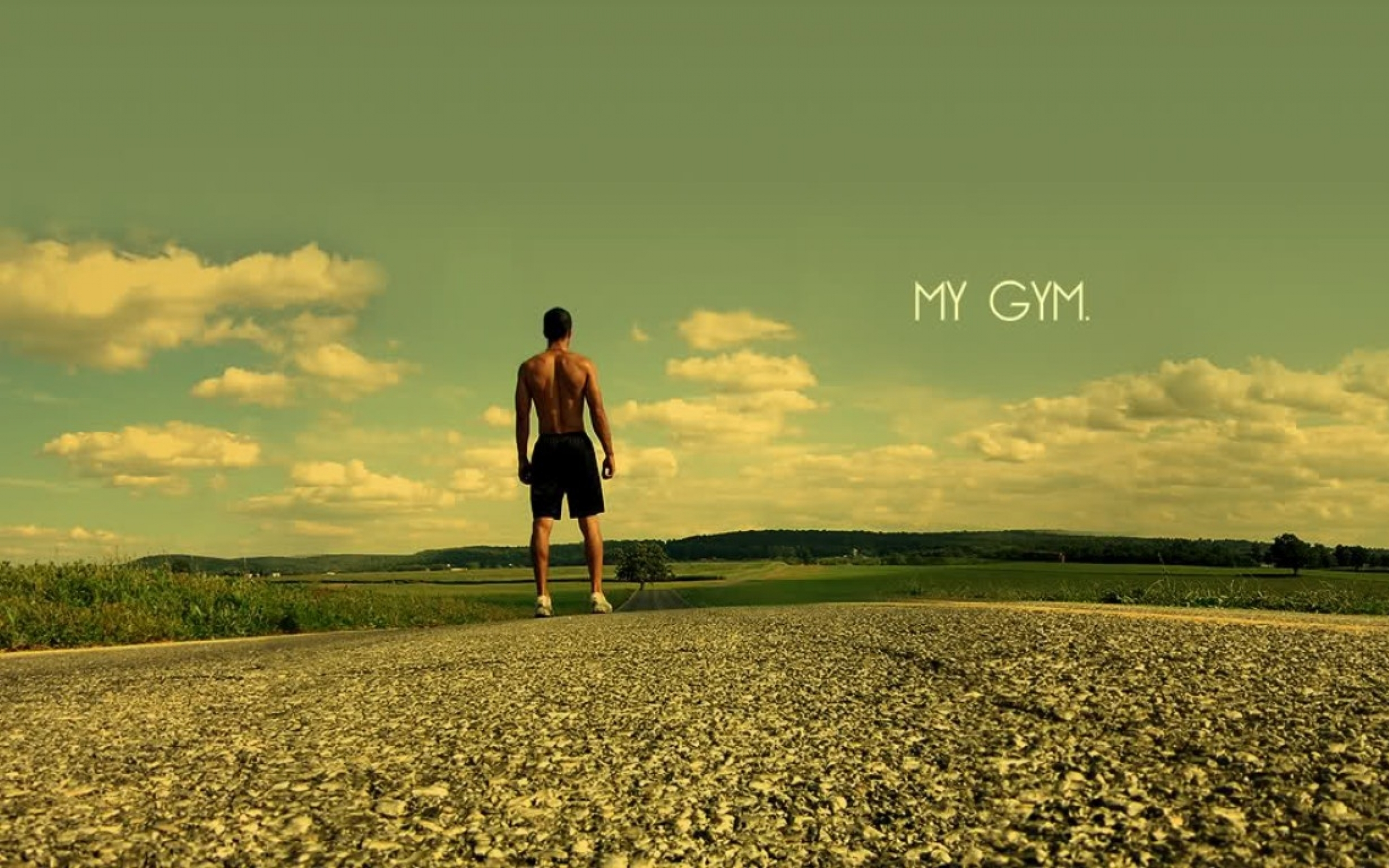 Download Wallpapers, Download 2560x1600 gym roads 1366x768 ...