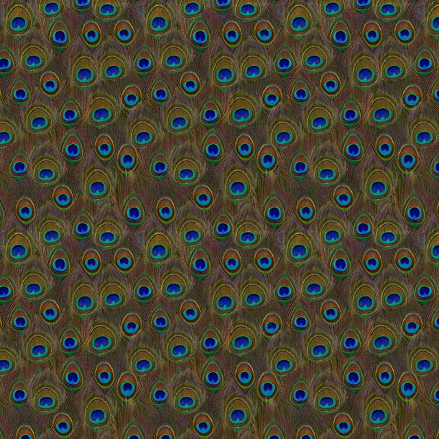 Eye of the Peacock - Wallpaper Tiles - Traditional - Wallpaper