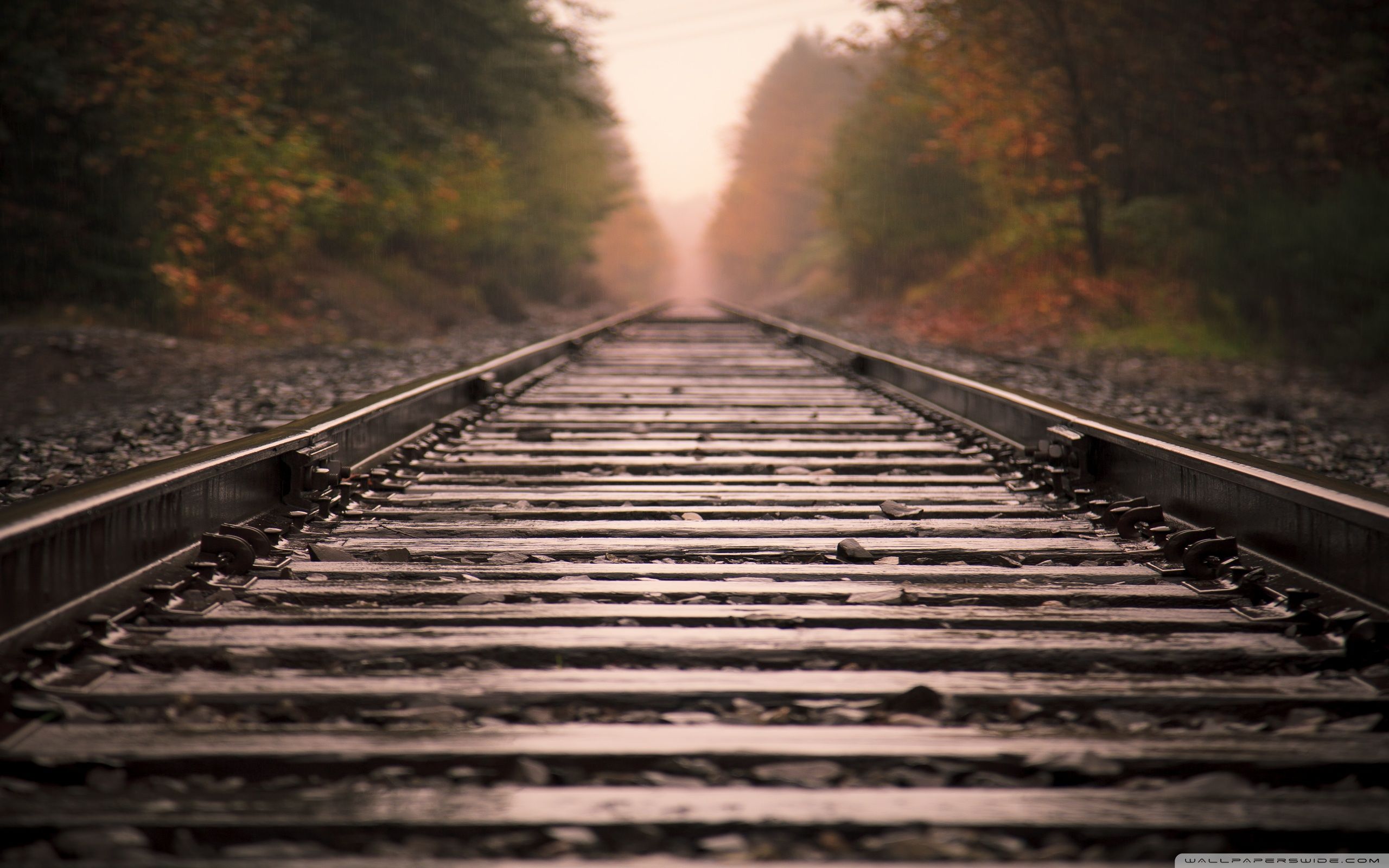 Train Track Backgrounds wallpaper | 2560x1600 | #35058