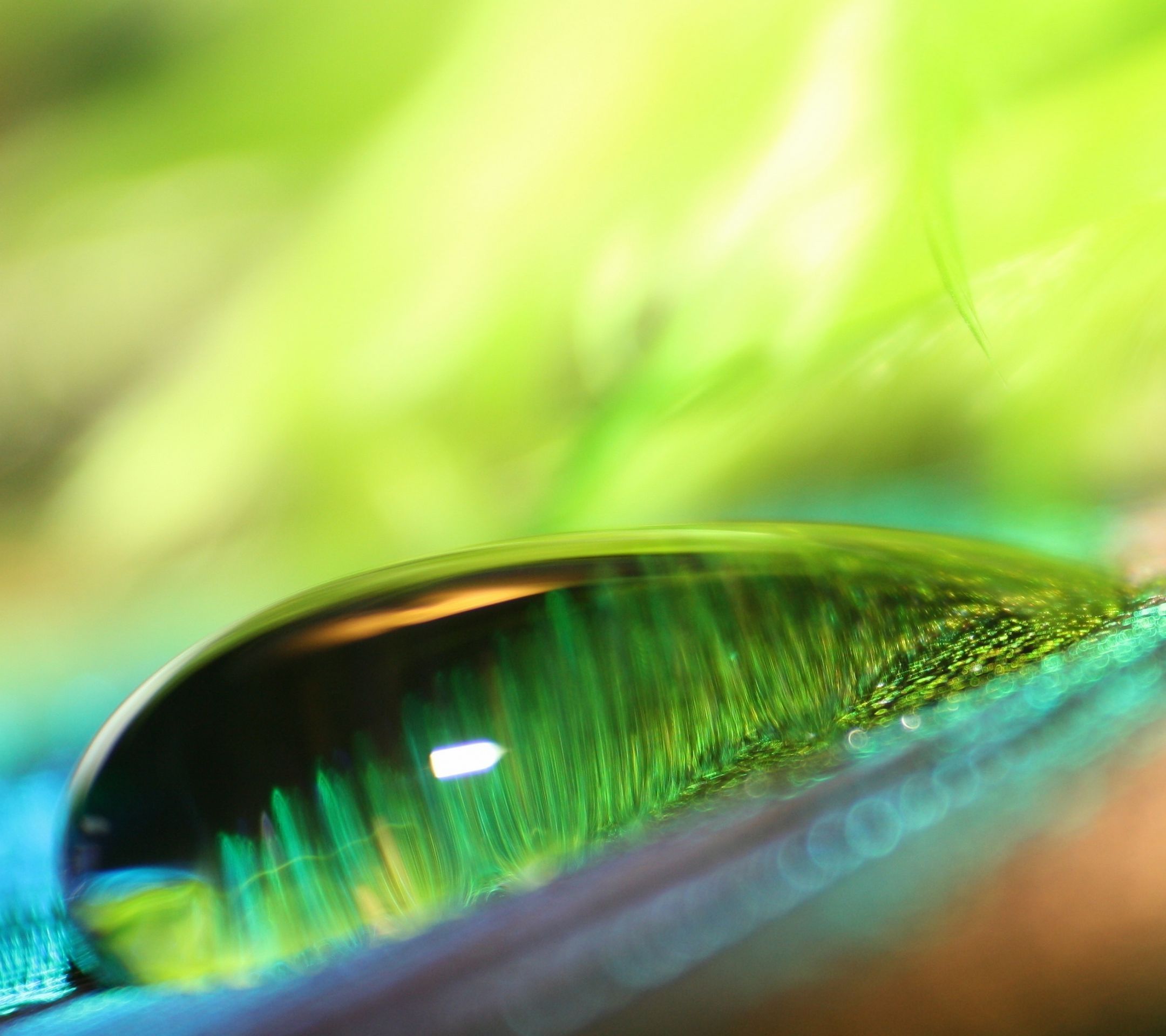 Glittering And Translucent DewdropSamsung Wallpaper Download ...