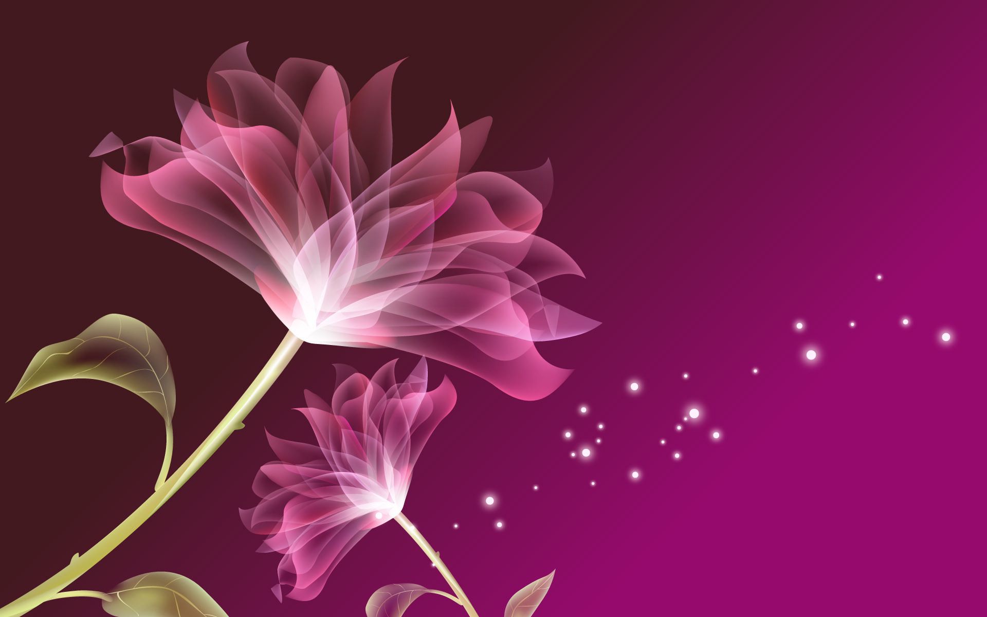 Purple translucent flowers, floral, digital-art, 1920x1200 HD ...