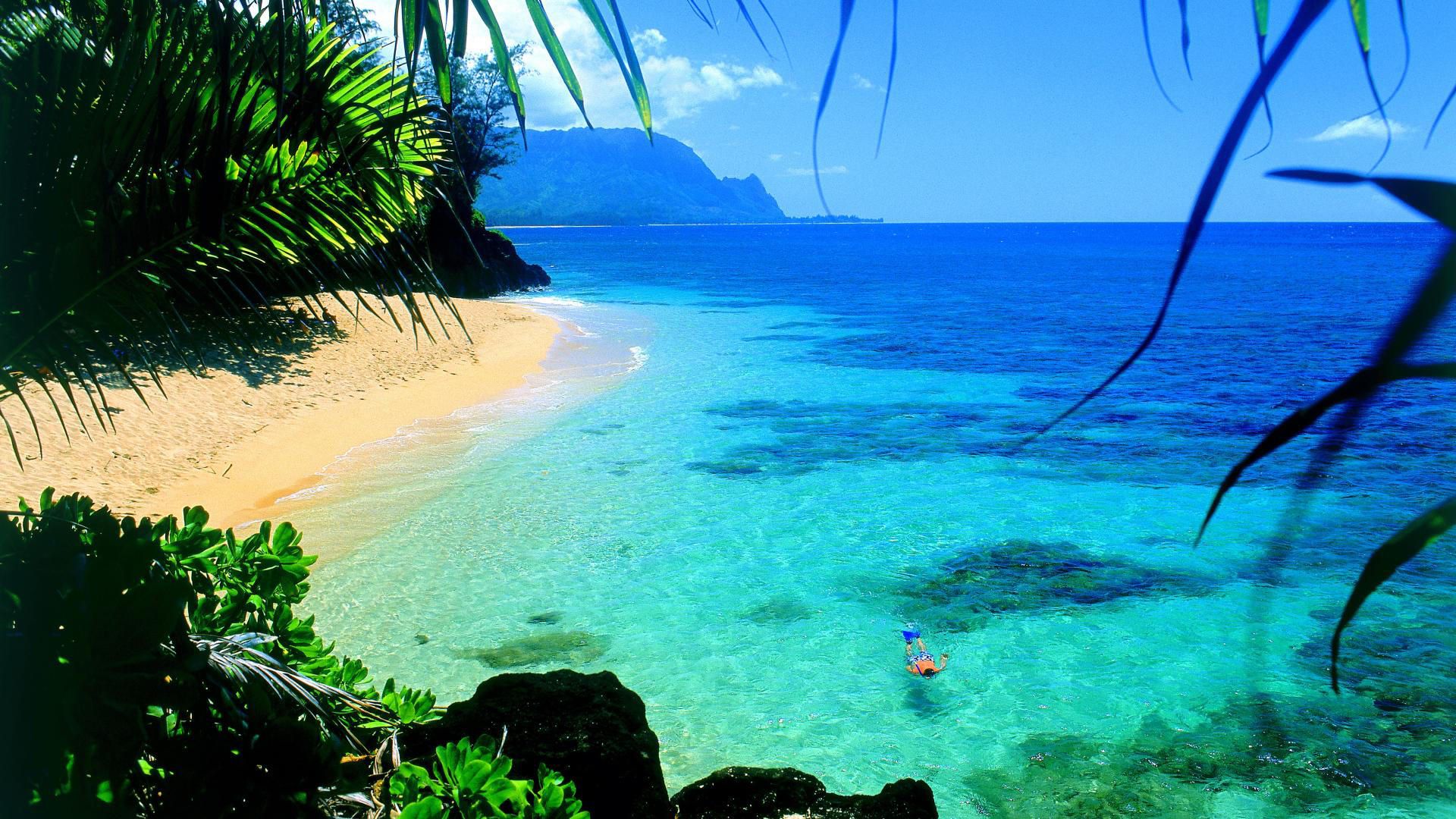 Hawaiian Desktop Wallpaper - HD Wallpapers Backgrounds of Your Choice