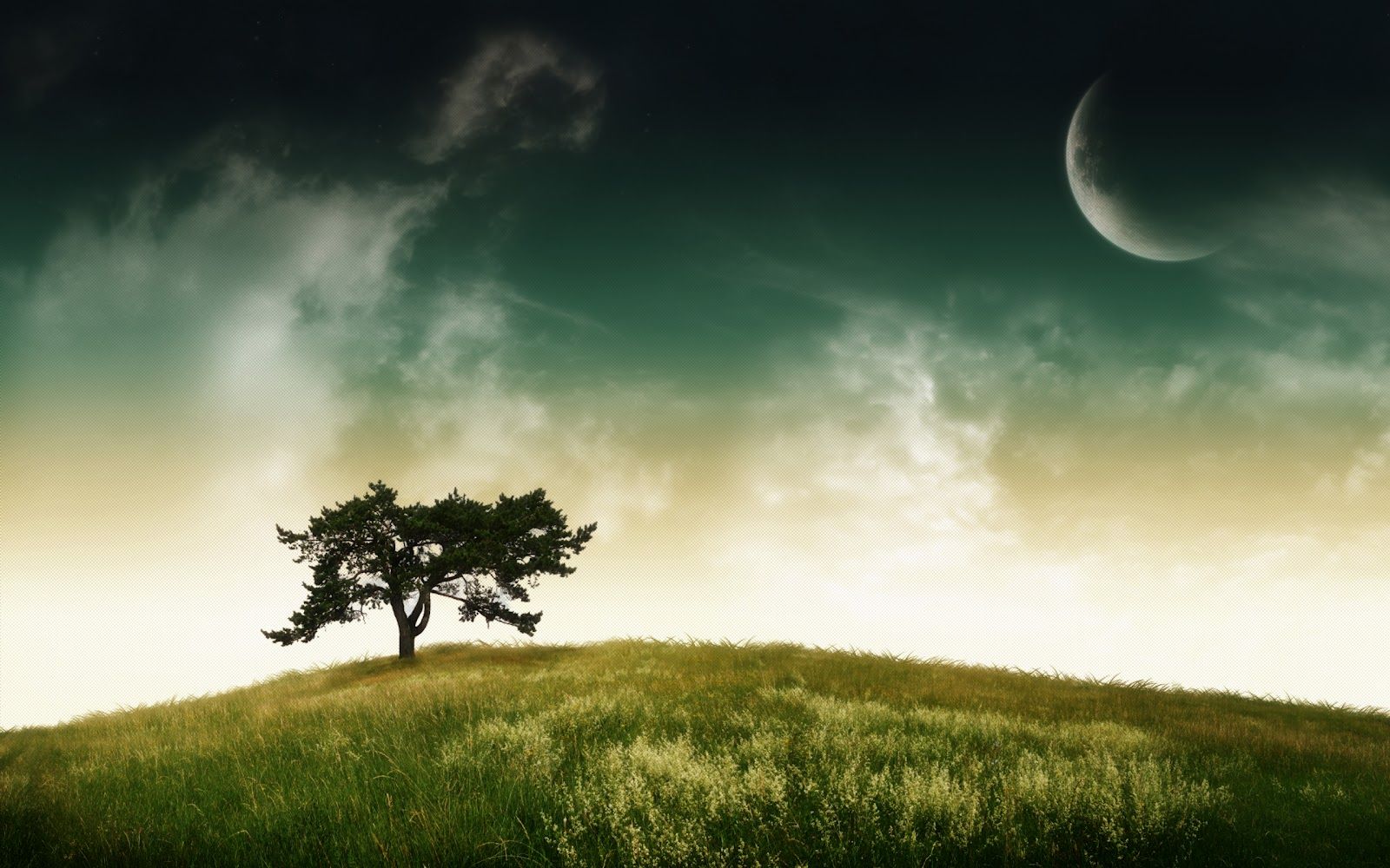 Tree and Moon Great Desktop Background High Quality Wallpaper ...