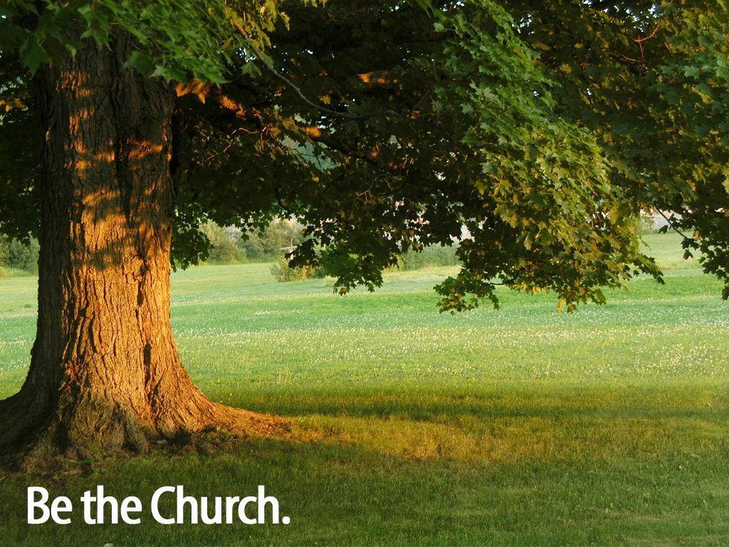 Be the church the tree 2270 1024x768