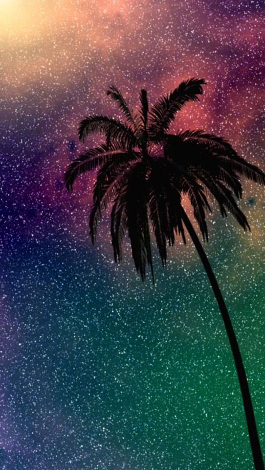 Palm tree iPhone background | iPhone Backgrounds | Pinterest ...