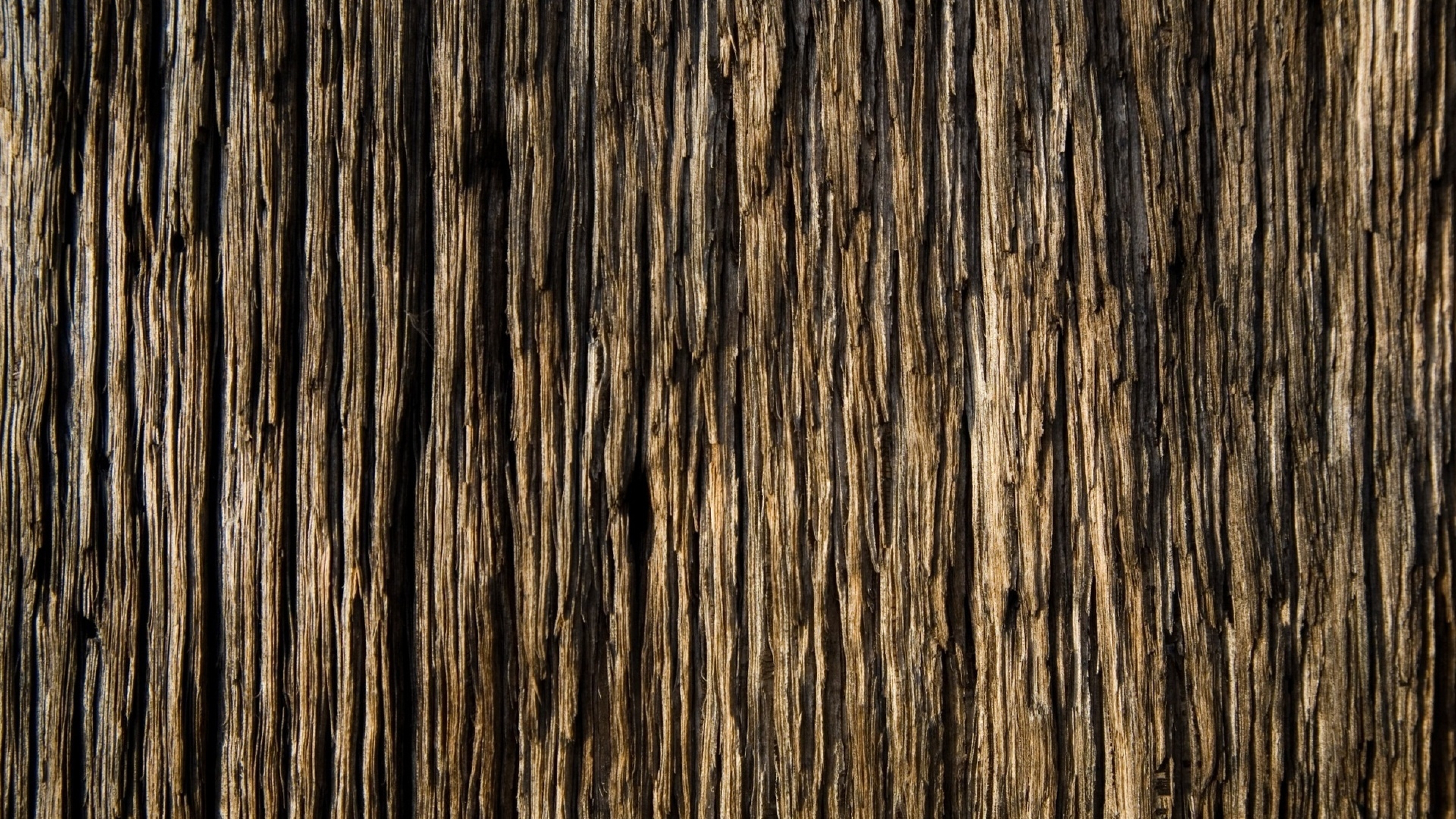 17 Fantastic HD Tree Bark Wallpapers - HDWallSource.com