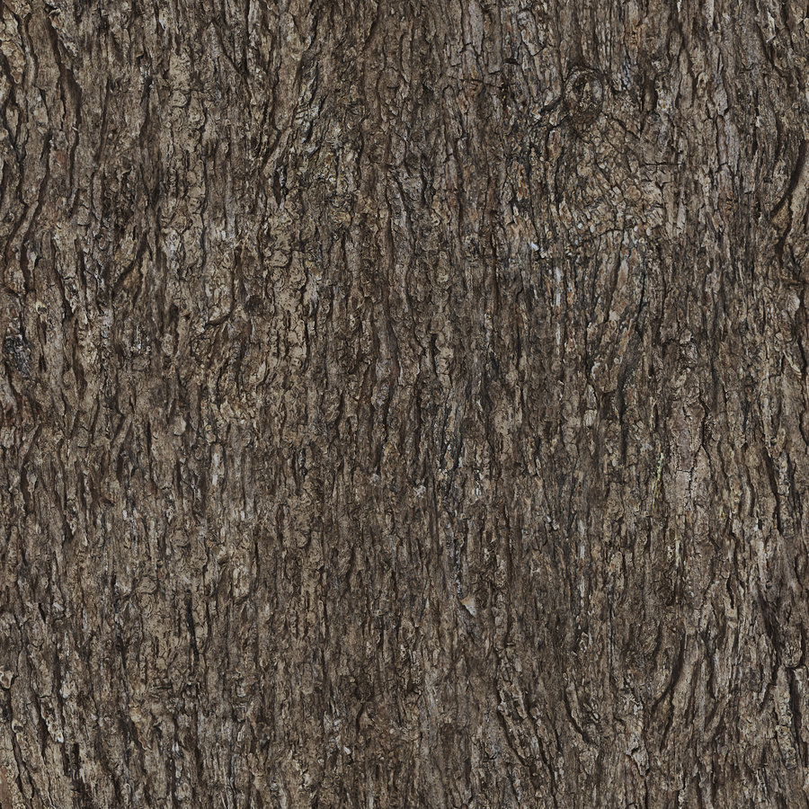 tileable tree bark texture by ftourini on DeviantArt