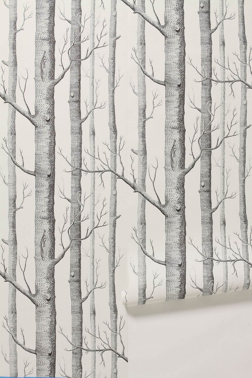 Who was wondering about the tree wallpaper that Lavender posted