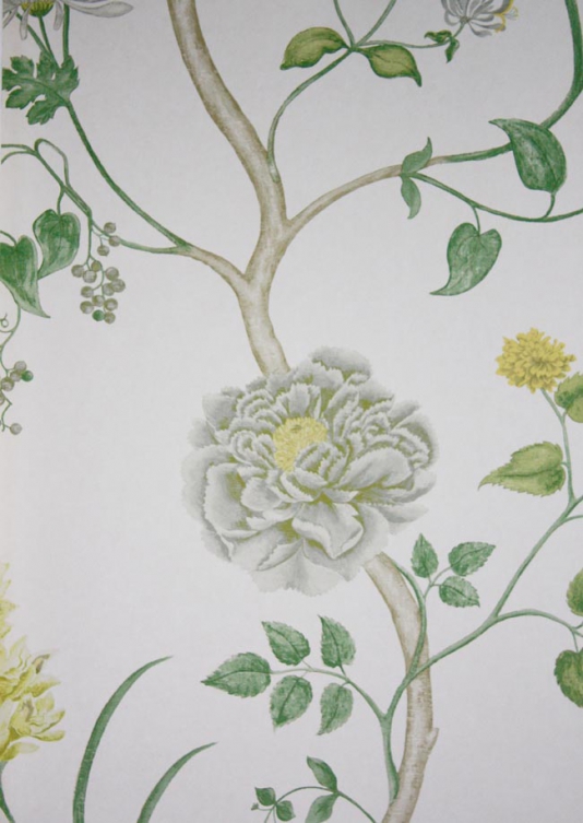 Summer Tree Floral Wallpaper by Sanderson | Green and White ...