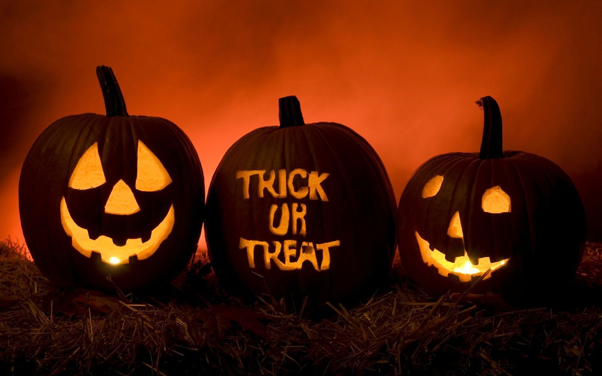 Trick Or Treat Halloween Festival HD Wallpaper Desktop Background ...