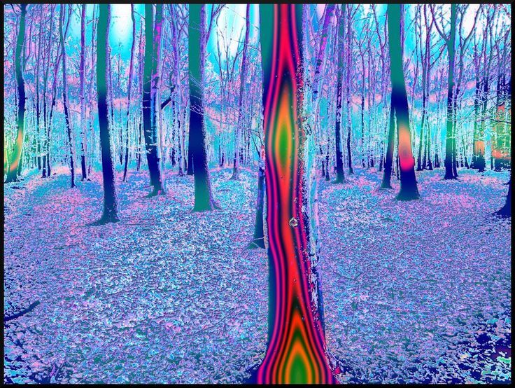 psychedelic | related searches for psychedelic trips psychedelic ...