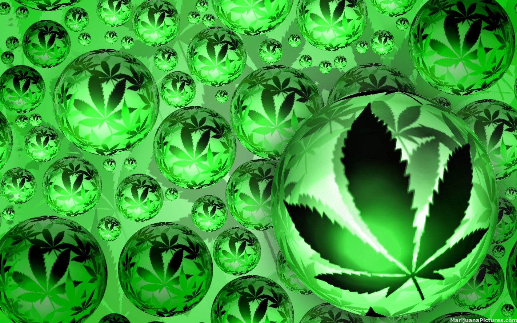 Weed Wallpapers