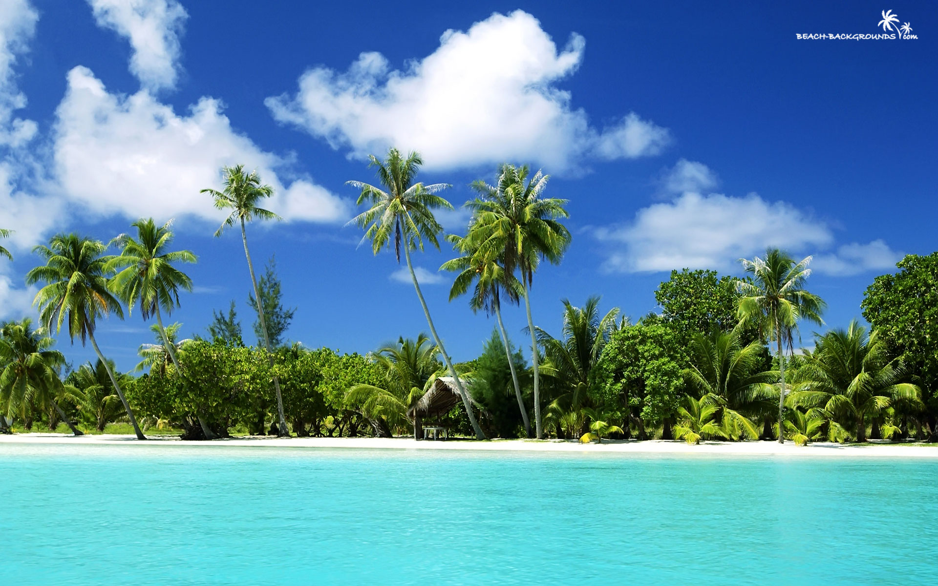 Tropical Beach Backgrounds Desktop Backgrounds for Free HD