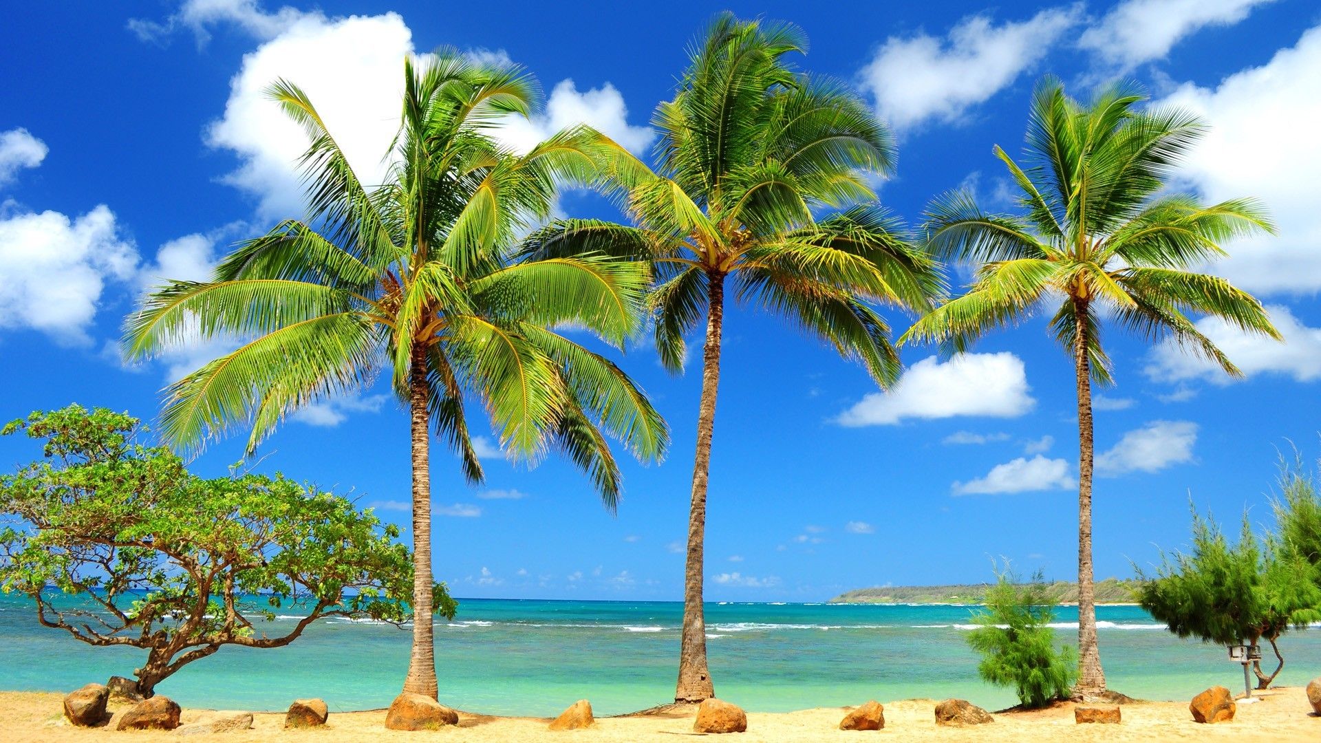 Tropical Beach HD Desktop Background