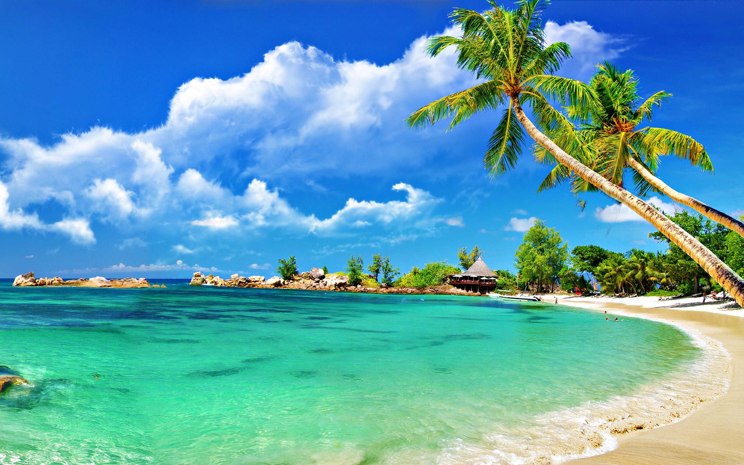 Beautiful, Nature, Tropical, Beach, Desktop, Background, Wallpaper