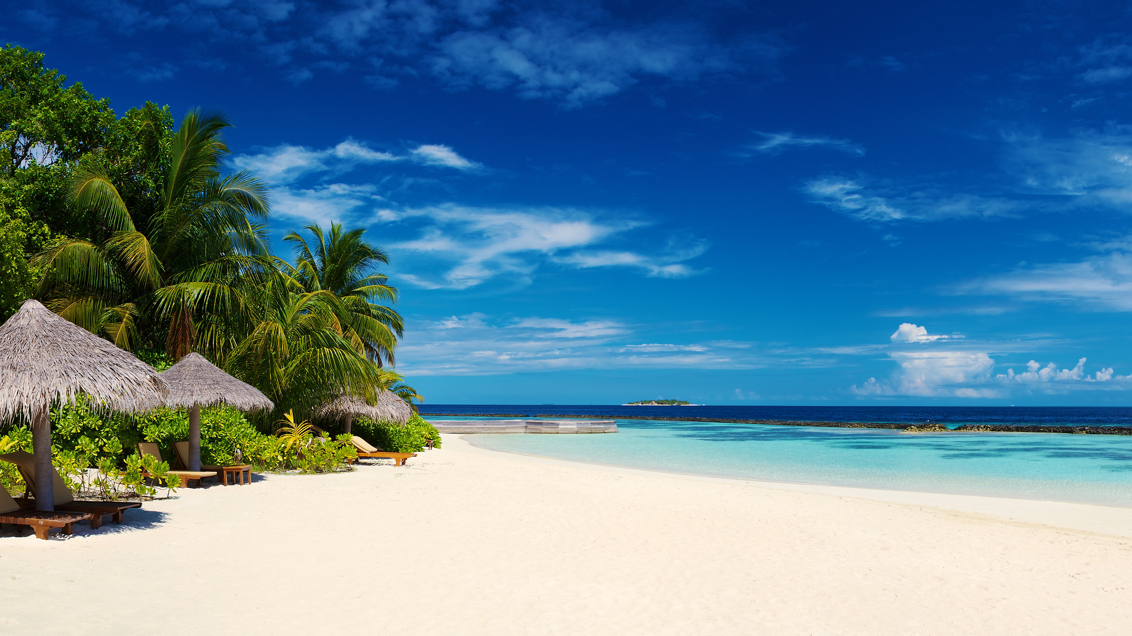 Tropical Beach Palm Trees 4K Desktop Wallpaper