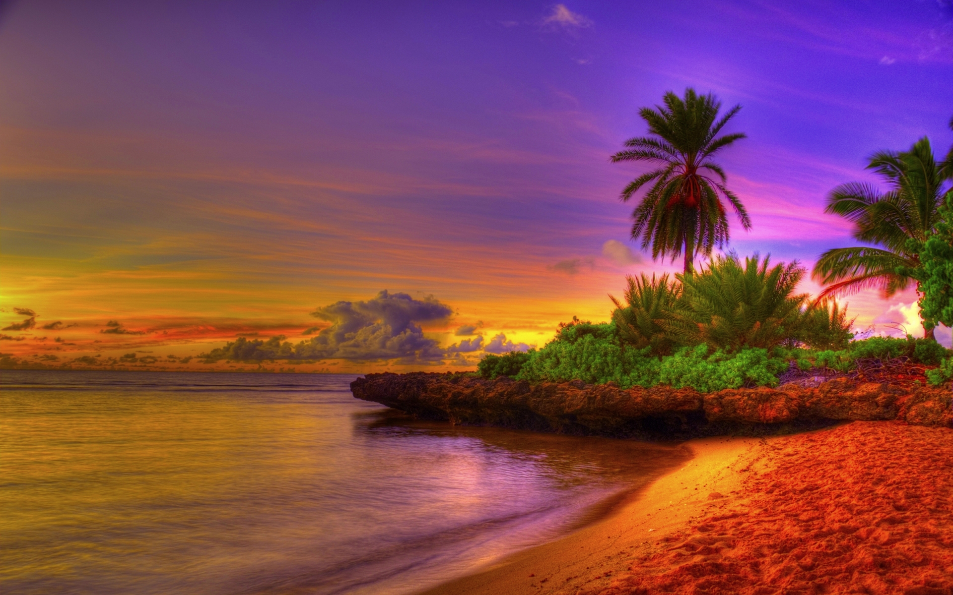 Tropical Beach Pictures Hammock Wallpaper Desktop with HD ...