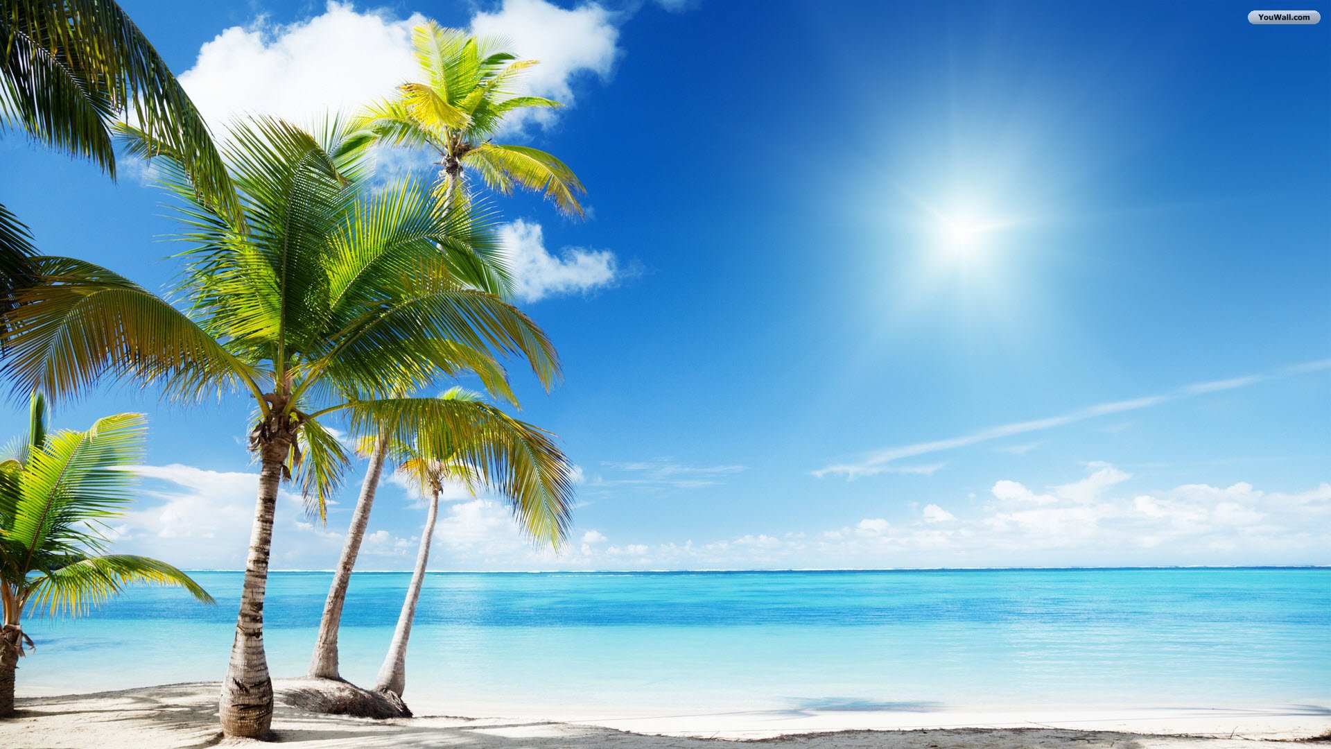 Tropical Beach Pictures Wallpapers Group