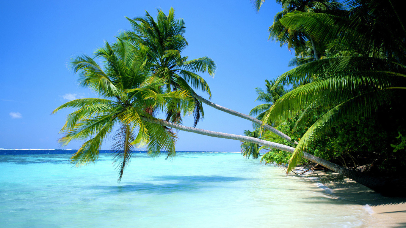 Tropical Beach Desktop Backgrounds HD Wallpapers Desktop ...