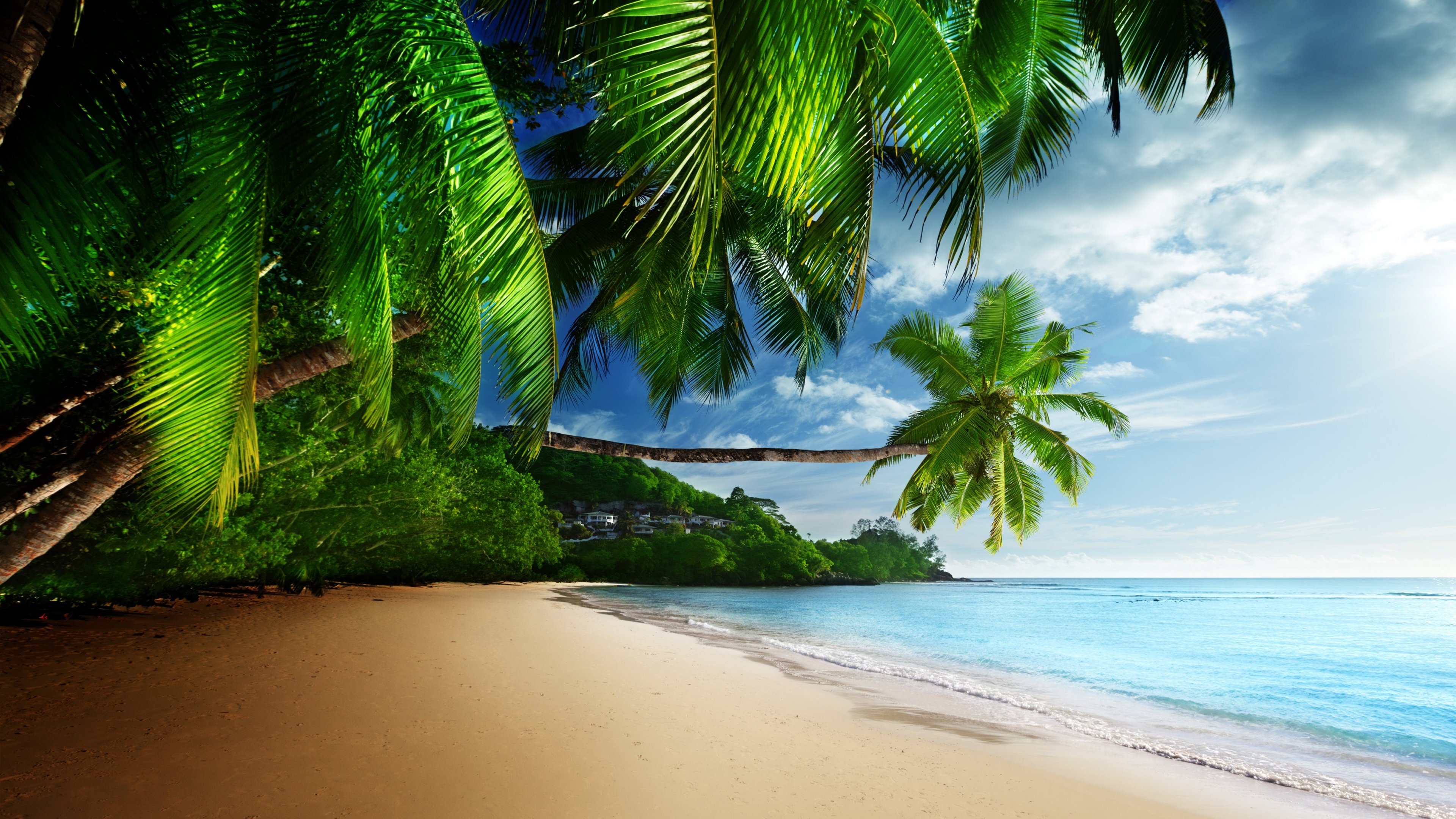 Tropical Beach Paradise 4K Ultra HD Desktop Wallpaper