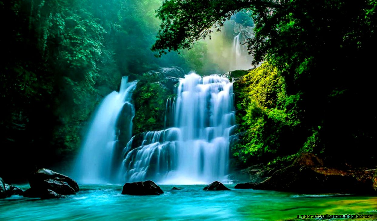 Tropical Waterfall Backgrounds | Important Wallpapers