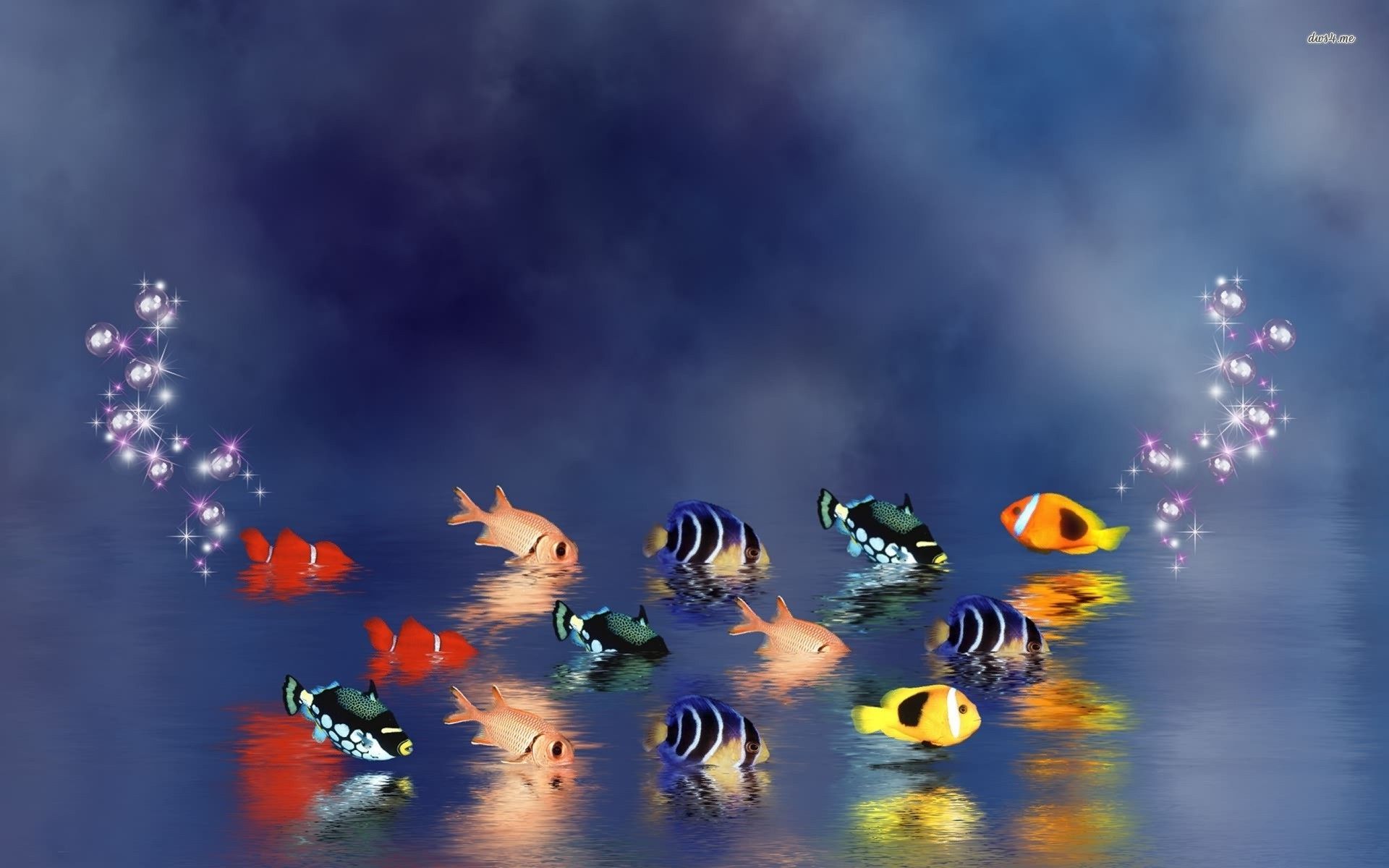 Tropical fish wallpaper - Digital Art wallpapers -
