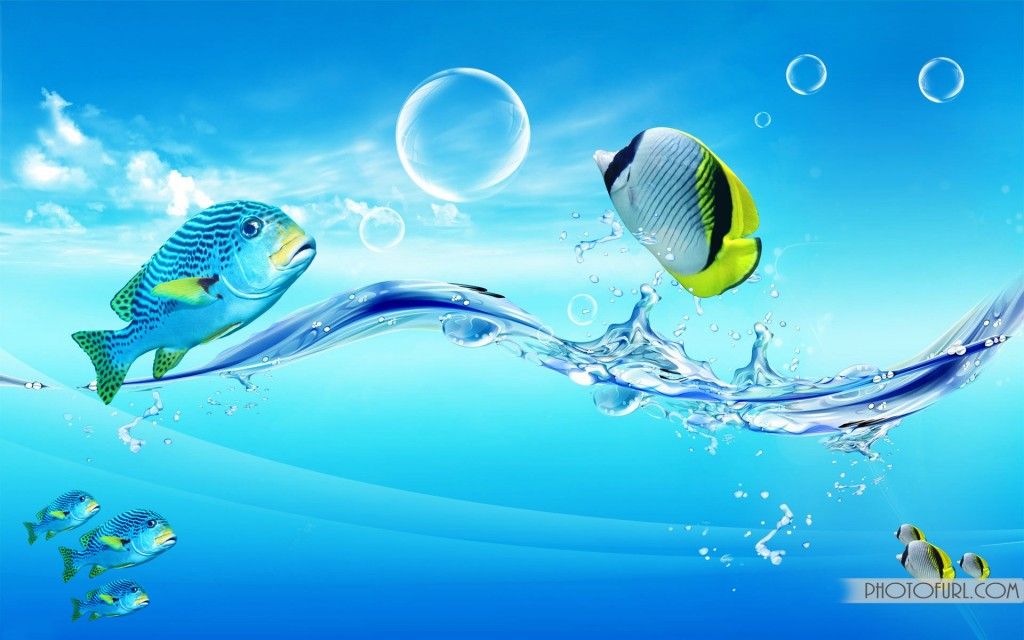 Free Tropical Fish Wallpapers For High Resolution Desktop ...