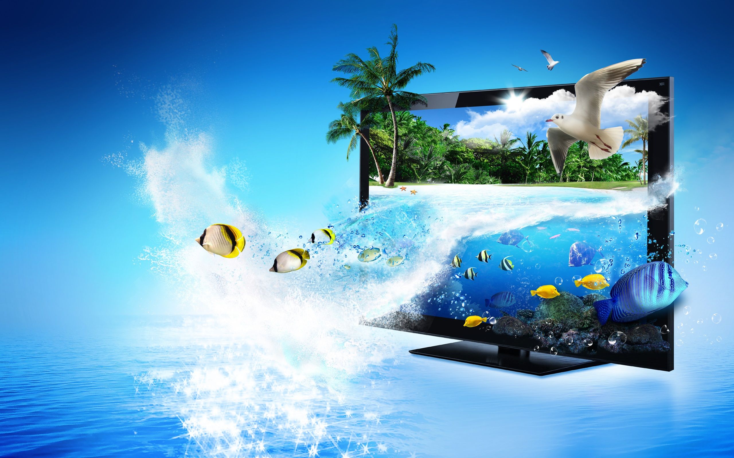 Monitor 3D Creative Advertising, sea, tropical fish, palm trees ...