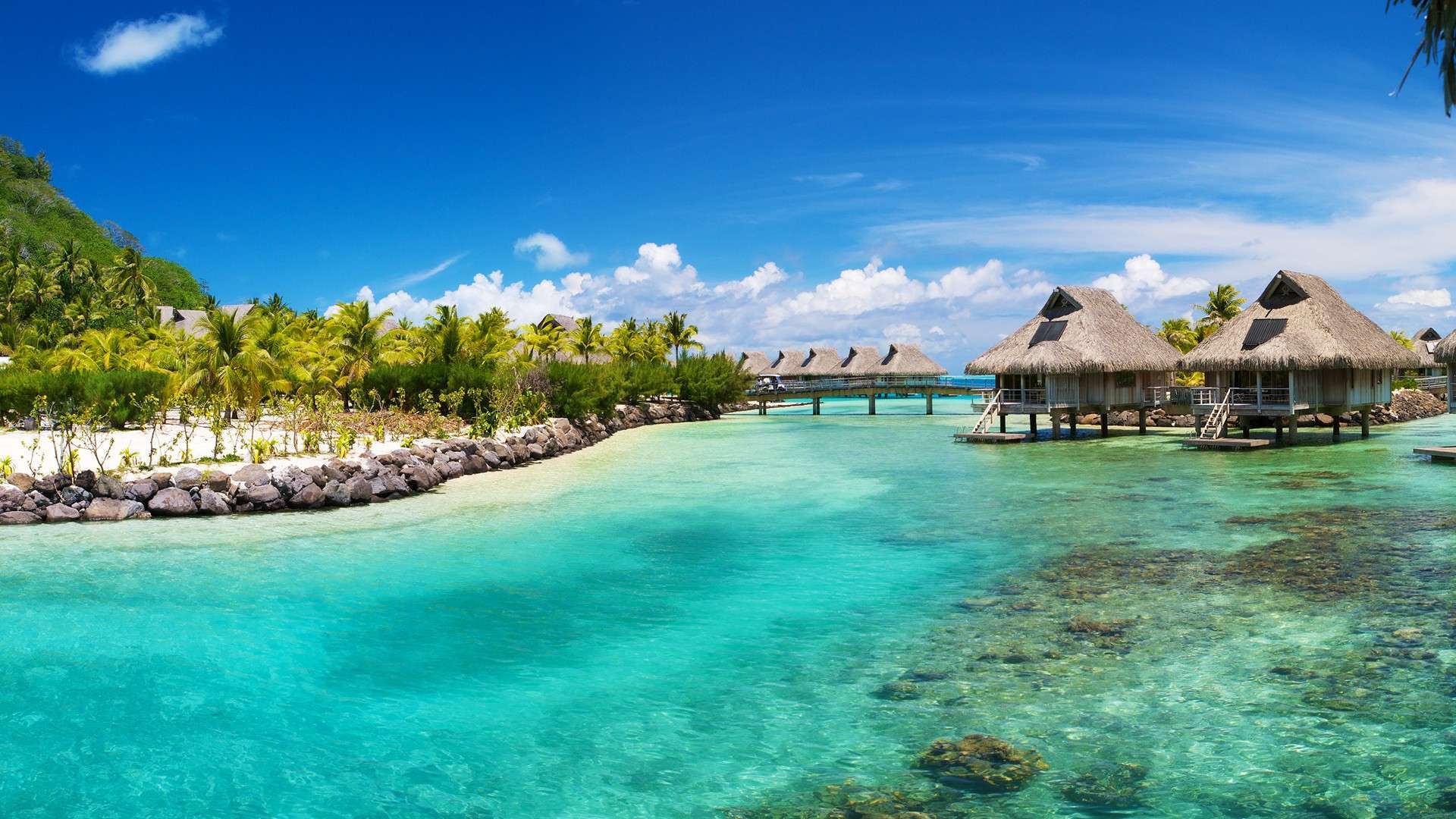 tropical-island-beach-holiday-HD-wallpaper -