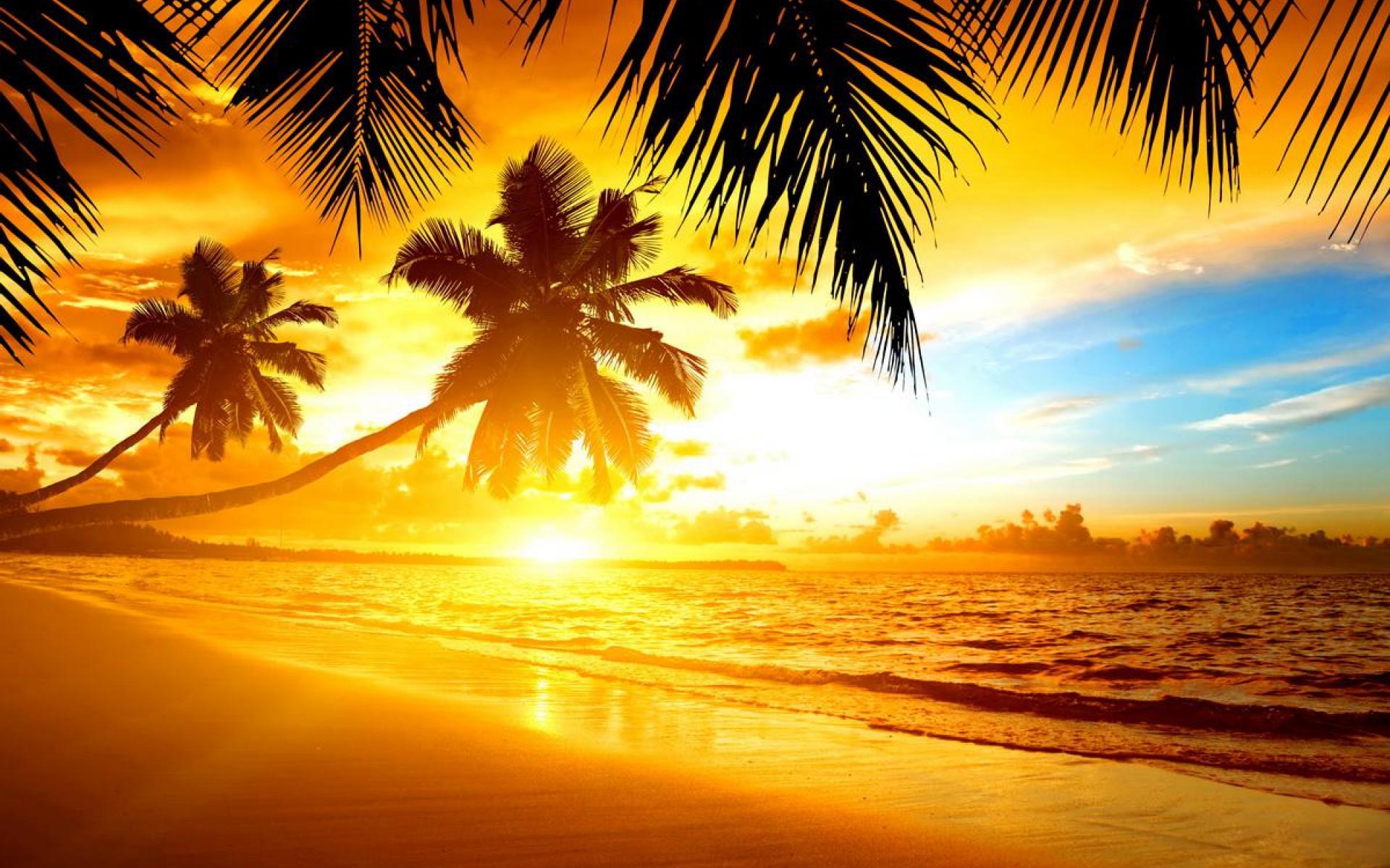 Tropical Island Sunset Wallpaper Wallpaper hd
