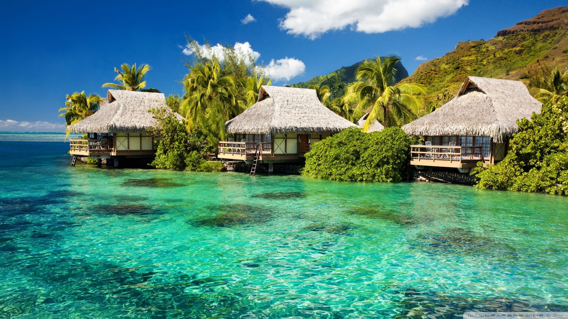 Beach Bungalows On The Tropical Island Wallpaper Beach Wallpapers ...