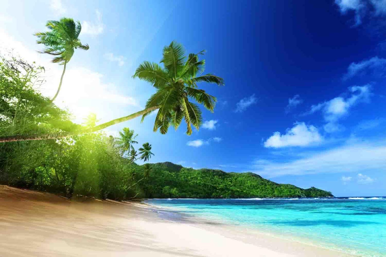 Tropical Island Wallpaper - Android Apps on Google Play