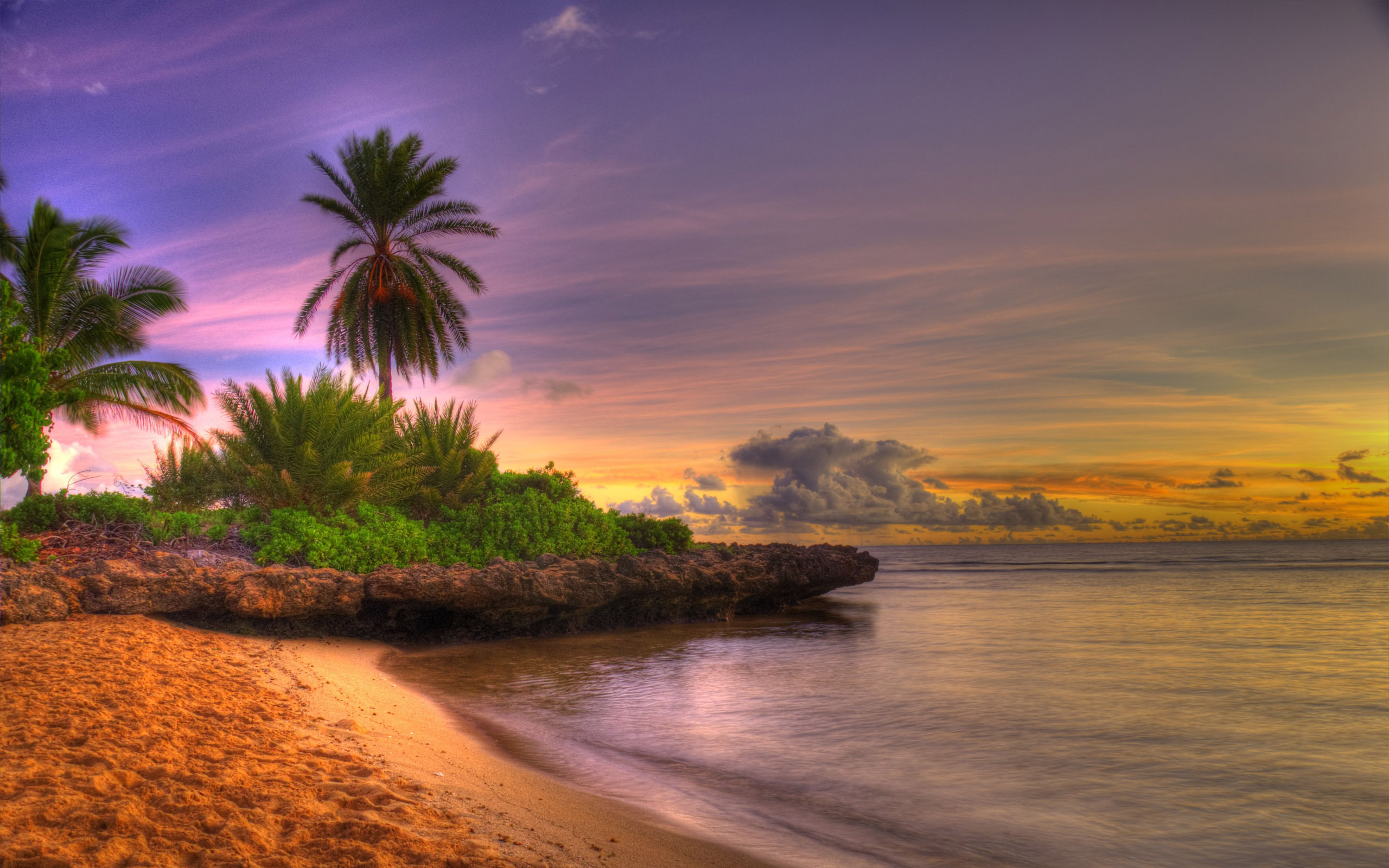 Tropical Island Beach HD Pix
