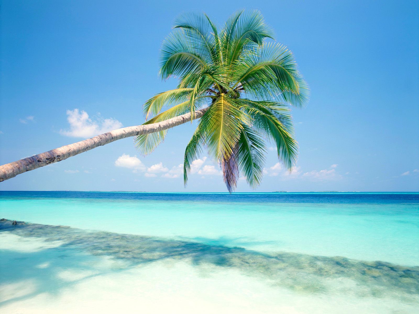 Tropical Island Wallpapers HD Backgrounds
