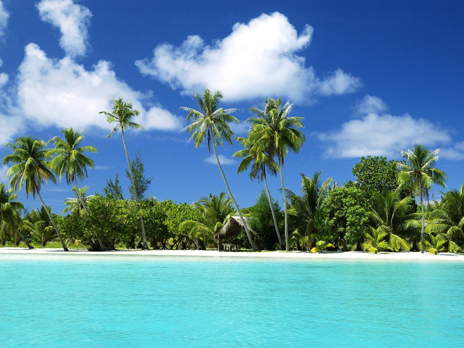 Tropical Islands Backgrounds
