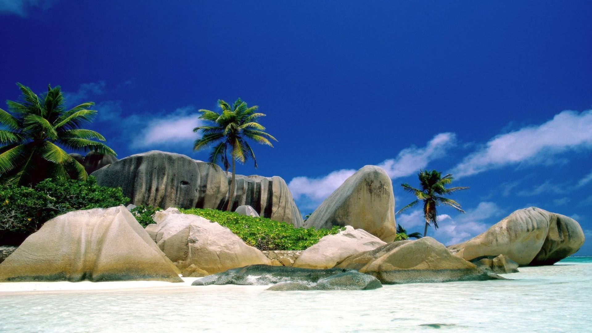 Tropical Island Paradise Background - wallpaper