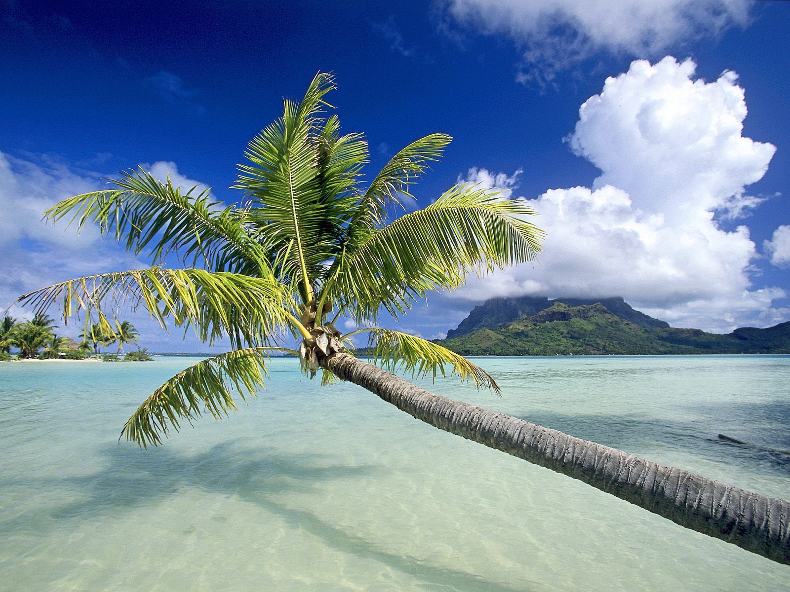 Tropical Islands Backgrounds