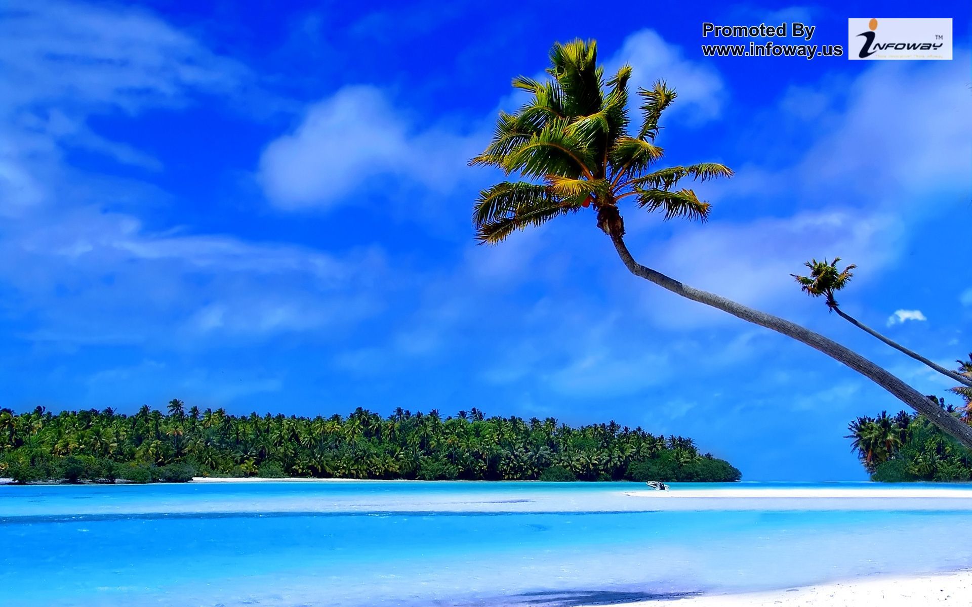 Tropical Island Wallpaper - Photo 120 of 333 | phombo.com