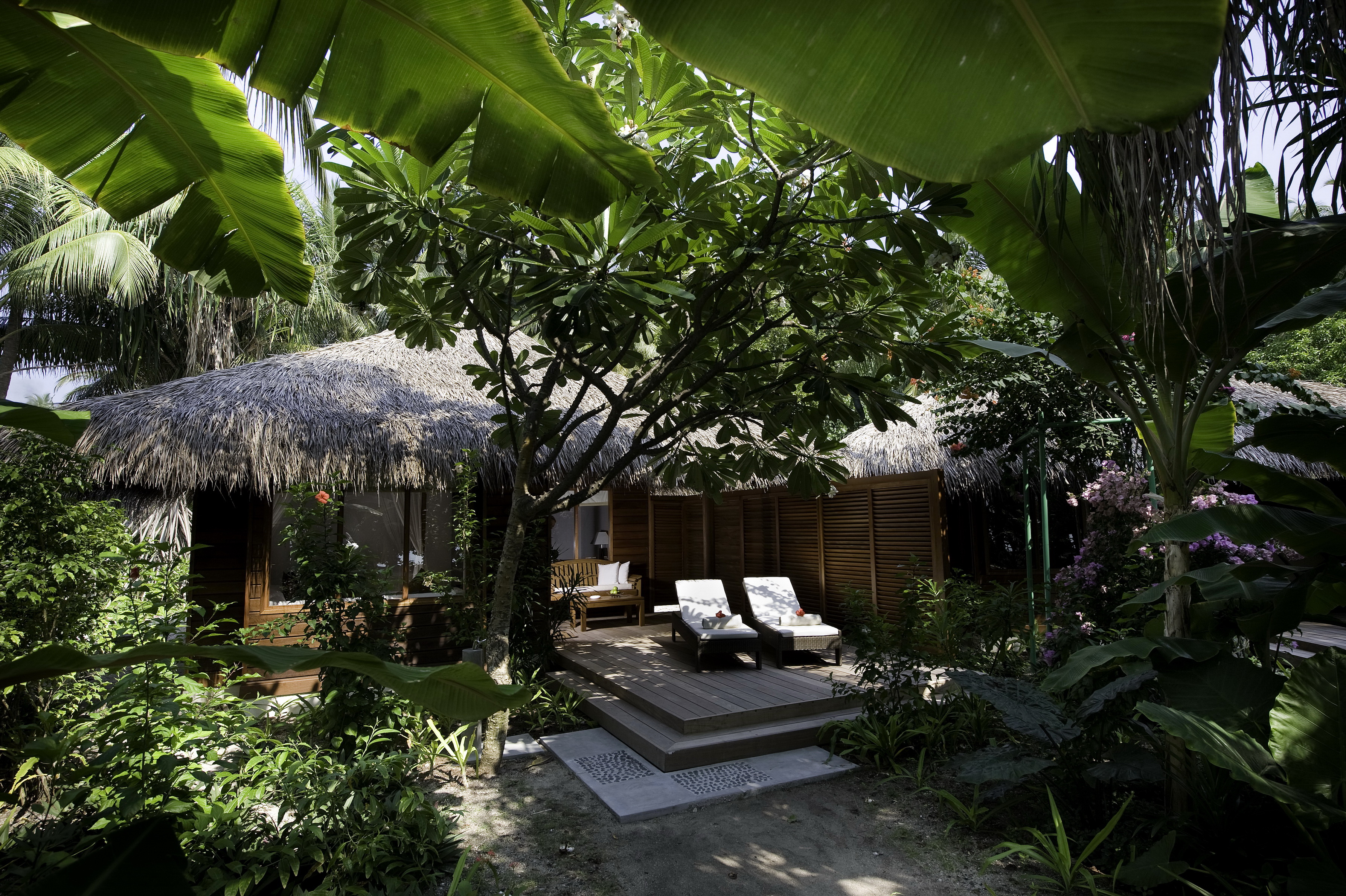 House Buildings Tropical Jungle 4K Ultra Hd Sublime Wallpaper Free ...