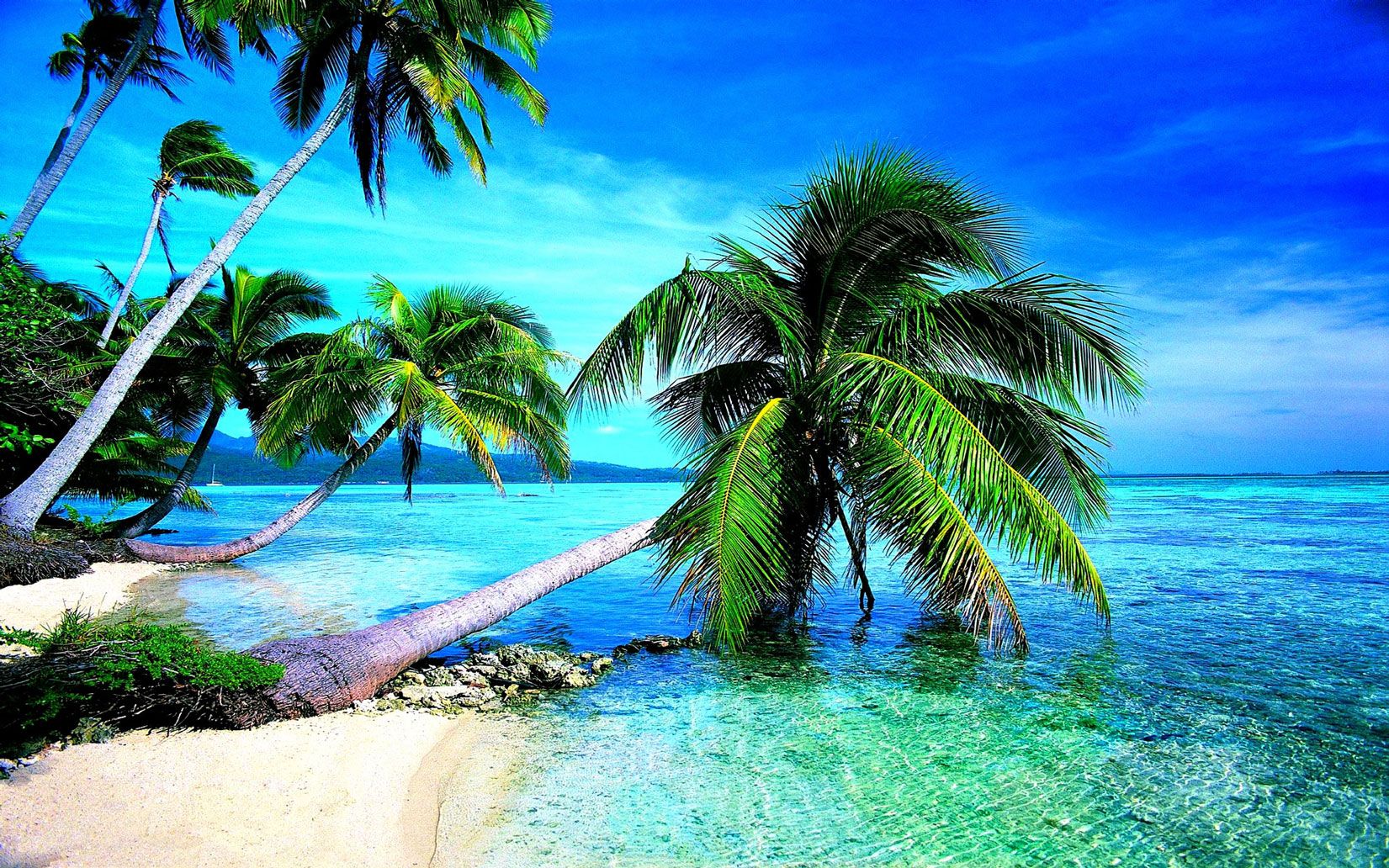 Tropical Beach Wallpaper - HD WallpapersHD Backgrounds