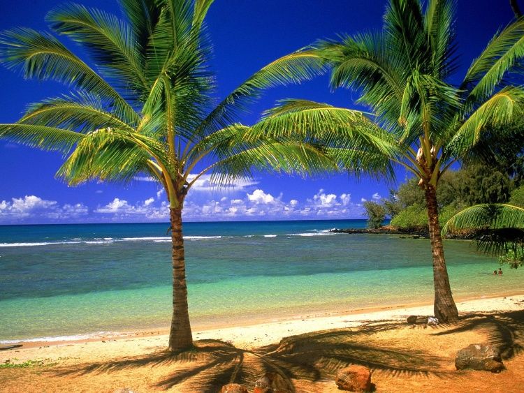 Tropical Beach Wide Wallpapers Free Tropical Beach Wide Wallpapers