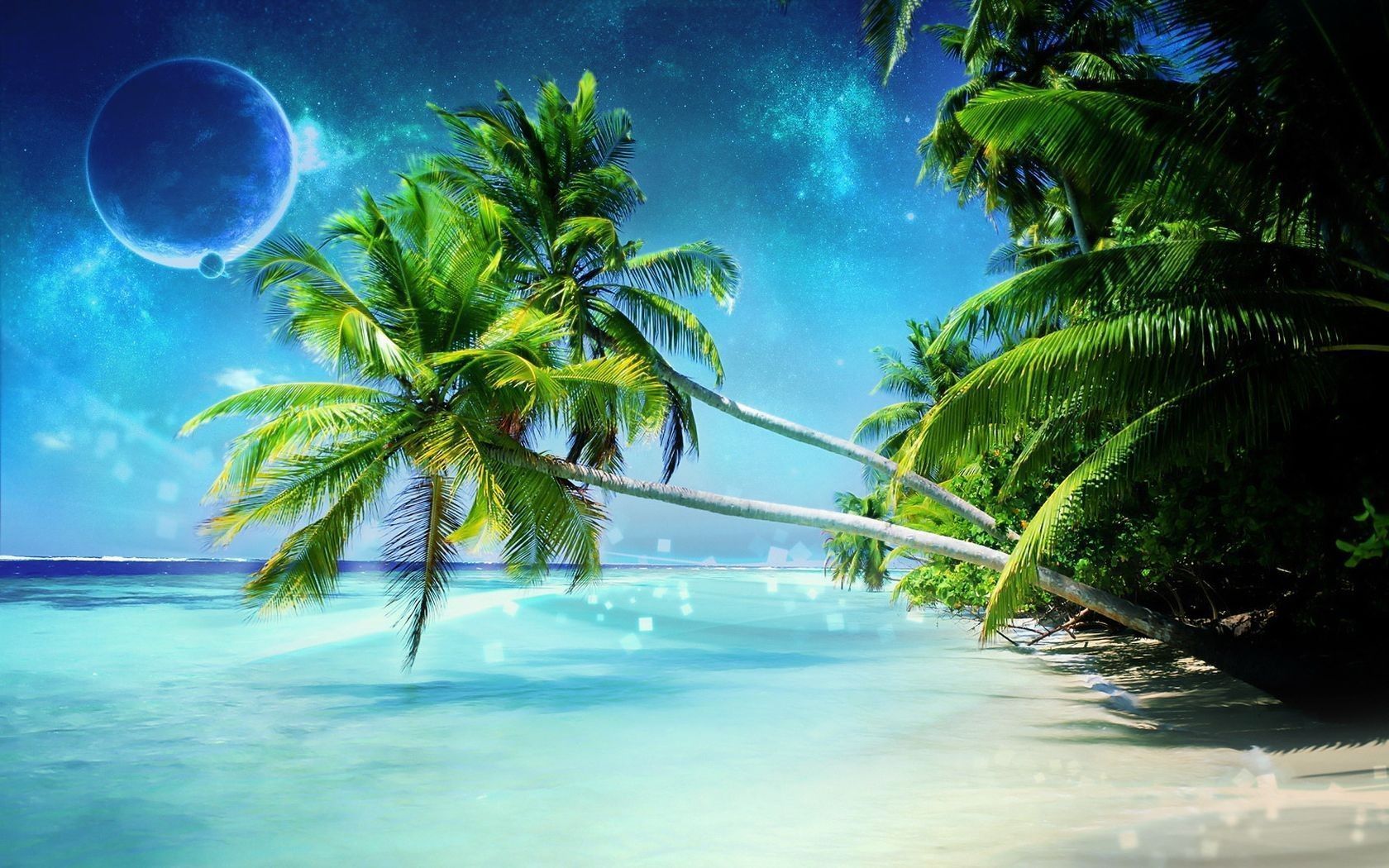 Free Tropical Backgrounds