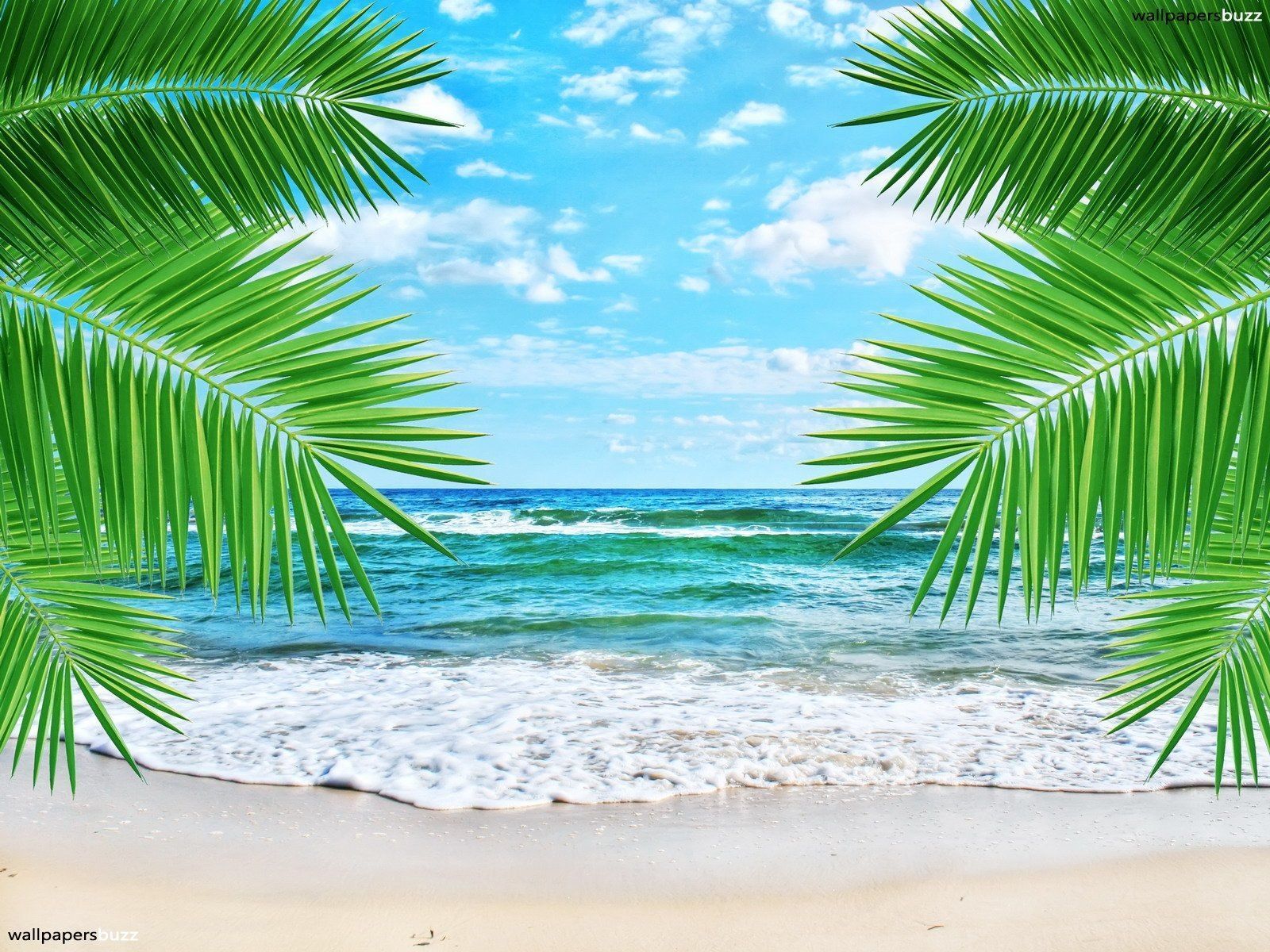 Comments for tropical beach hd wallpaper - - High Quality