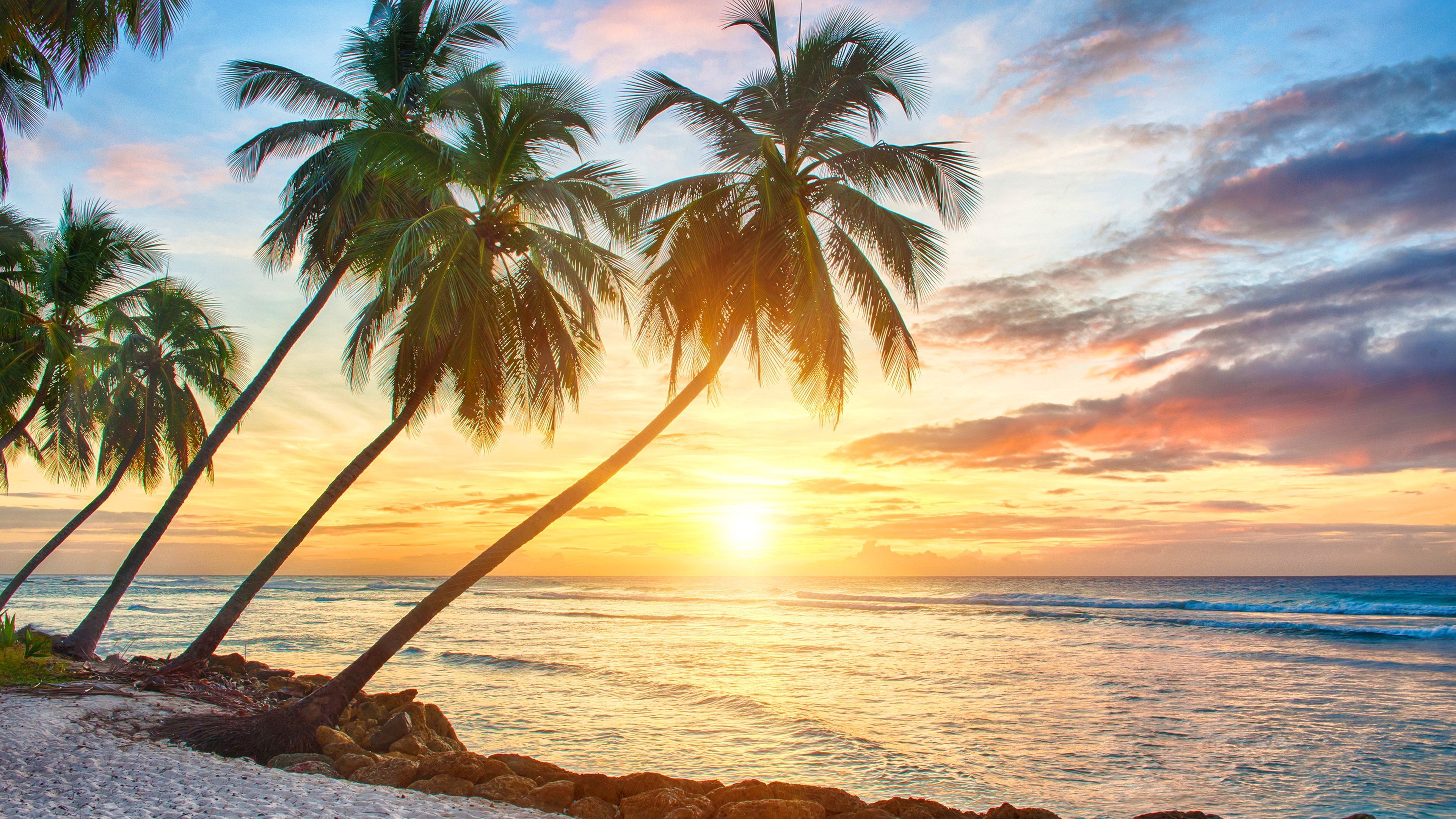Tropical sunset hd Wallpapers | Pictures