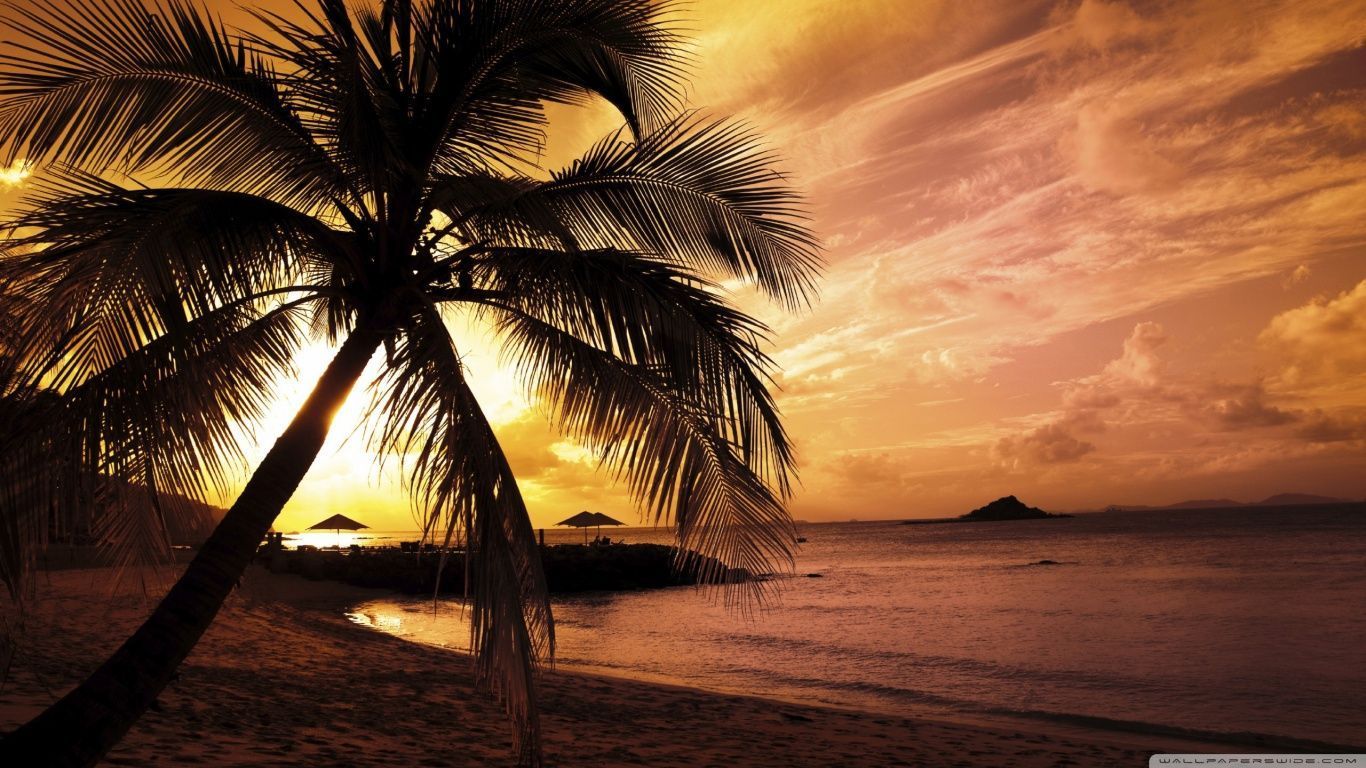 Tropical Beach Sunset HD desktop wallpaper : Widescreen : High ...
