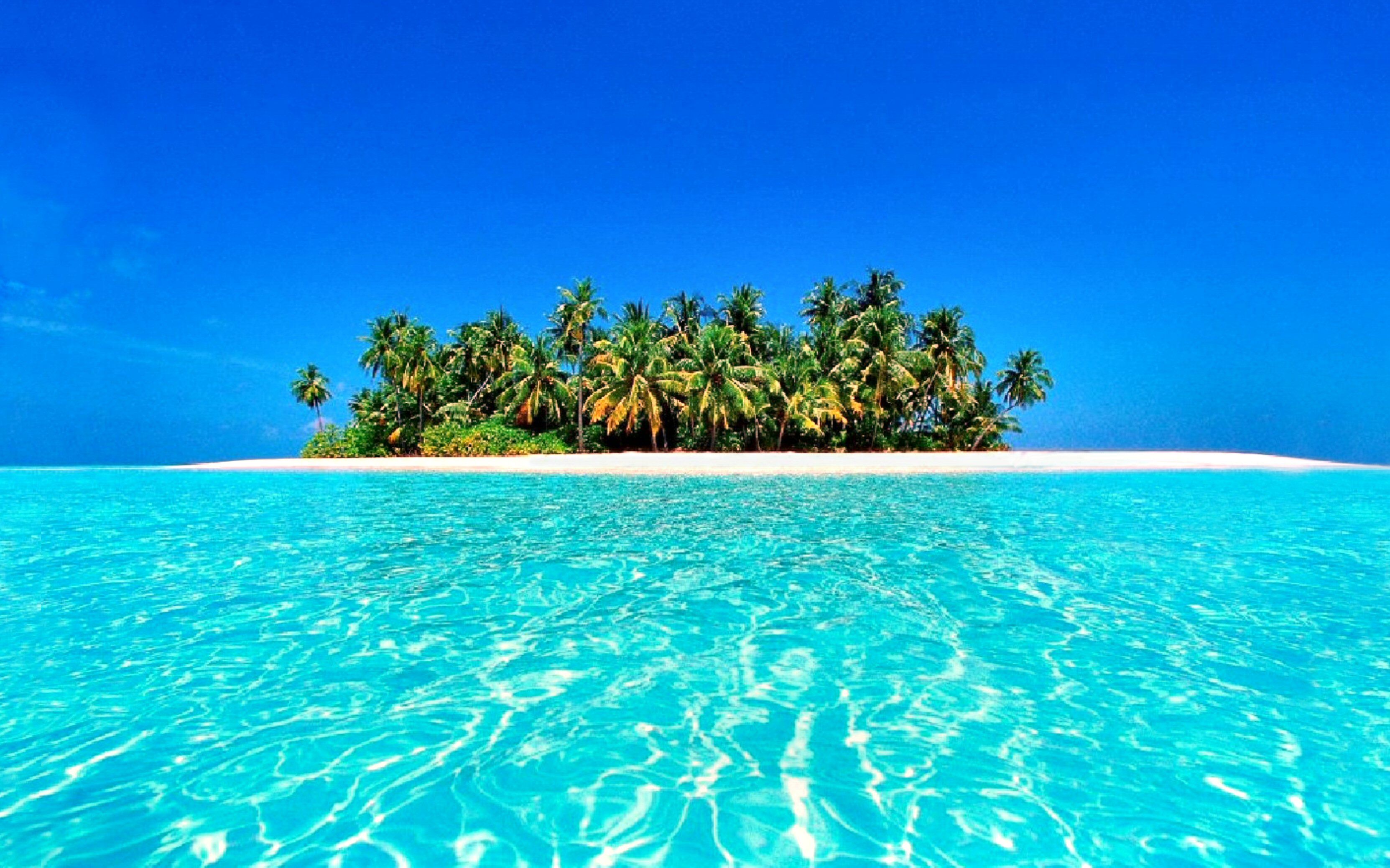 50 Tropical HD Wallpapers Backgrounds - Wallpaper Abyss