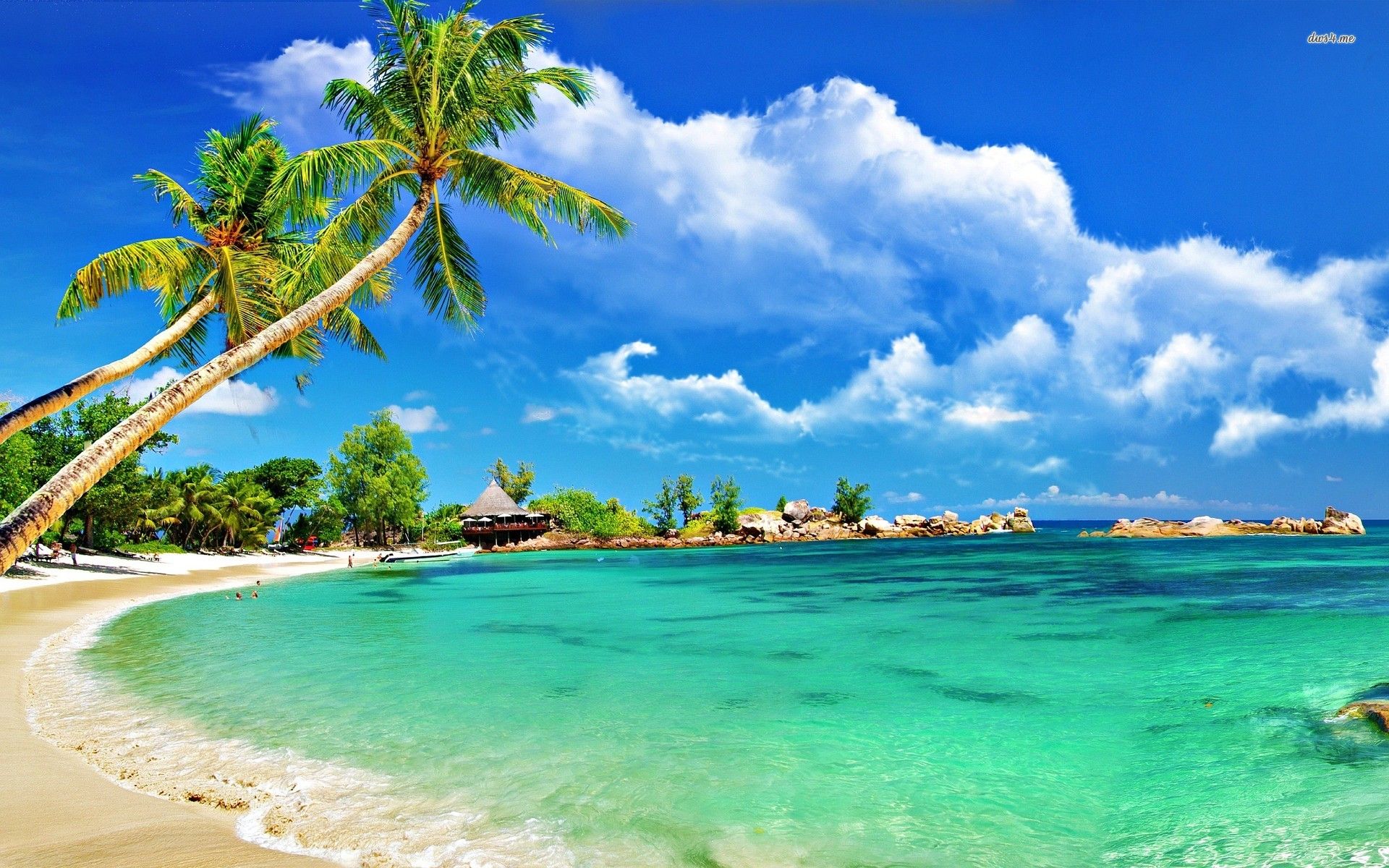 Tropical HD Backgrounds