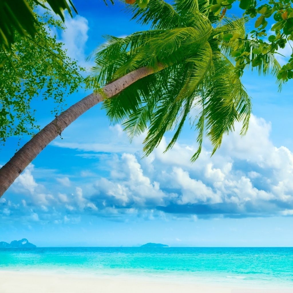 Tropical Beach Resorts HD desktop wallpaper Widescreen High resolution